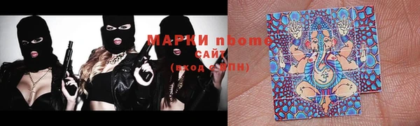 гашик Верея