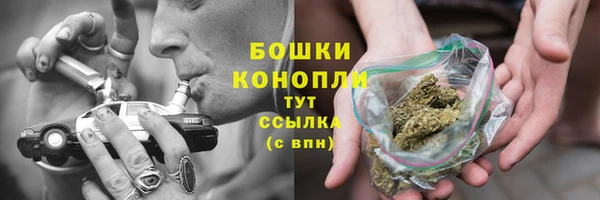 гашик Верея