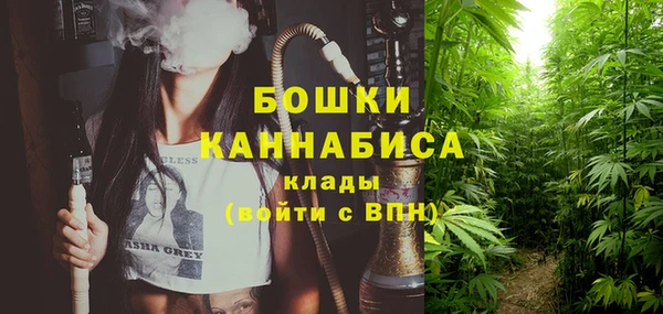 гашик Верея
