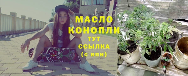 гашик Верея