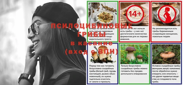 гашик Верея