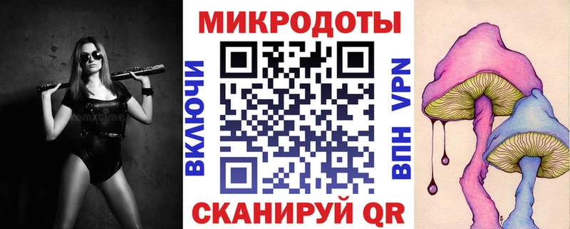 omg сайт  Кирс  Галлюциногенные грибы Psilocybine cubensis 